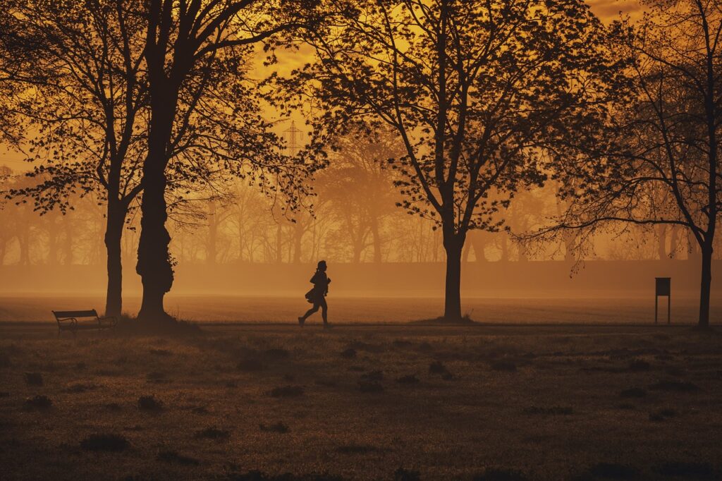 jogger, trees, park-7344979.jpg